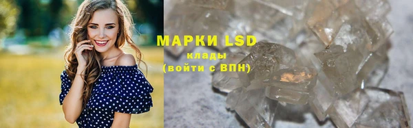 PSILOCYBIN Балабаново